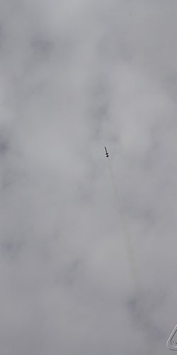 2013 Svojek Mirek Topinka